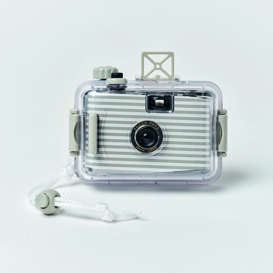 Underwater Pool Camera Seagrass