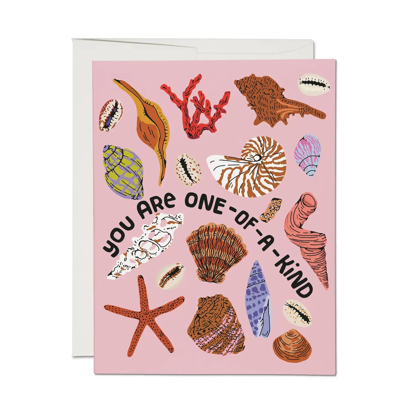 Special Seashell Card