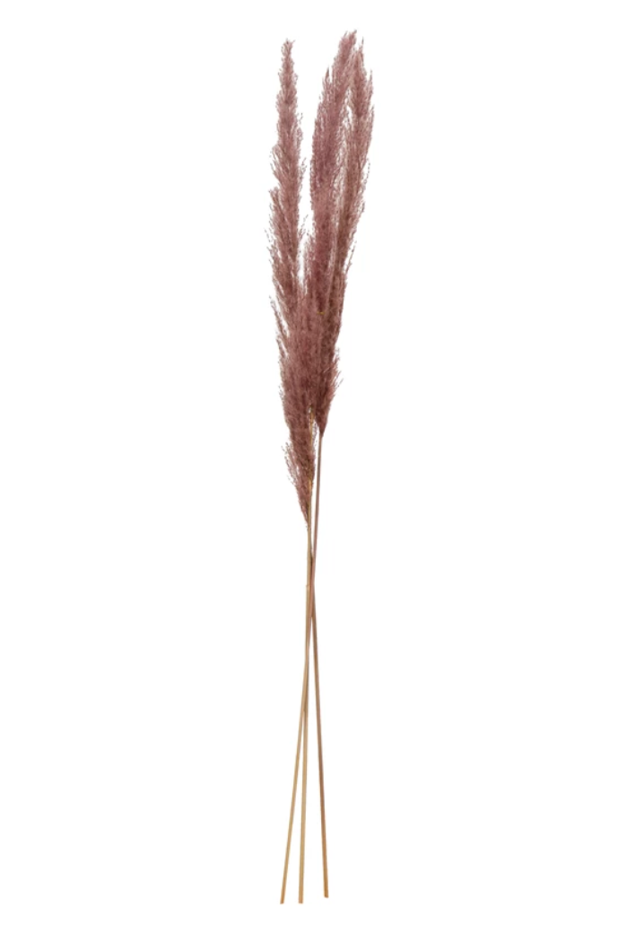 Pink Dried Pampas Grass - Clothe Boutique