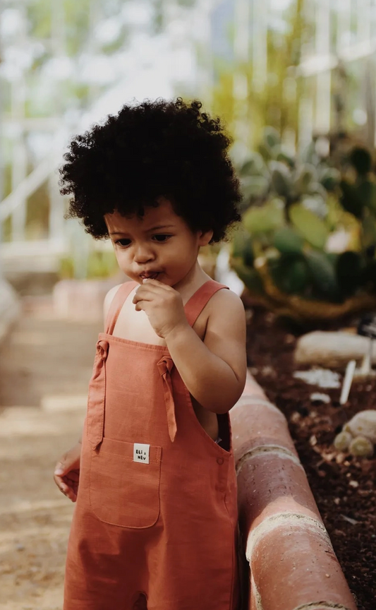 Tangerine Overalls