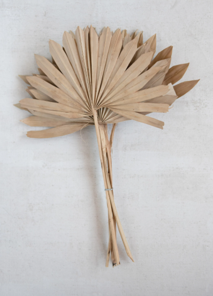 Dried Palm Bunch