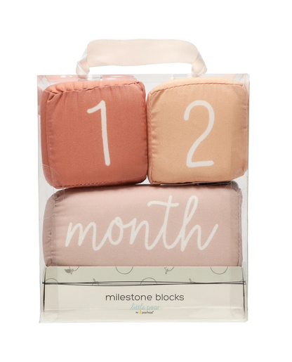 Plush Milestone Blocks