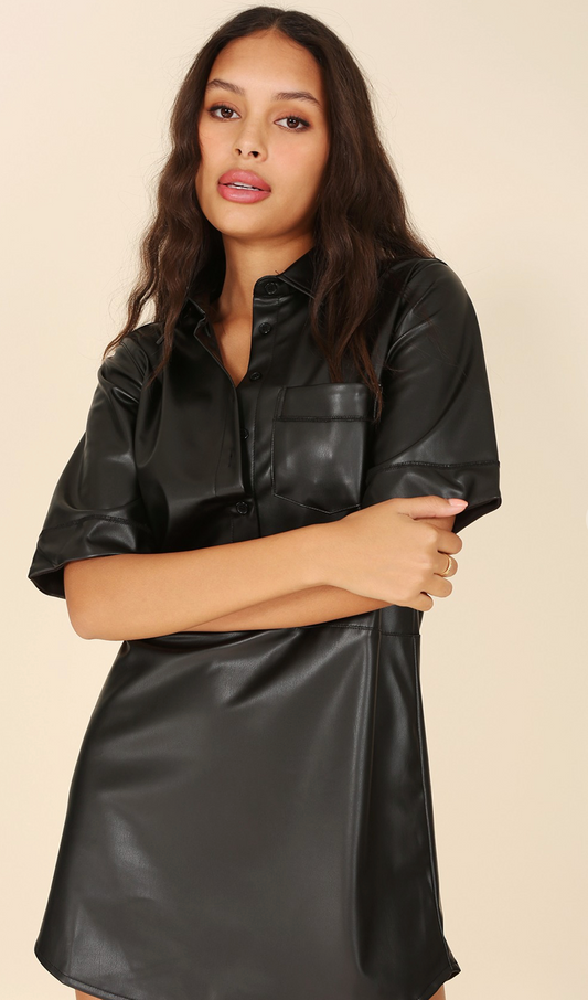 Faux Leather Collared Dress