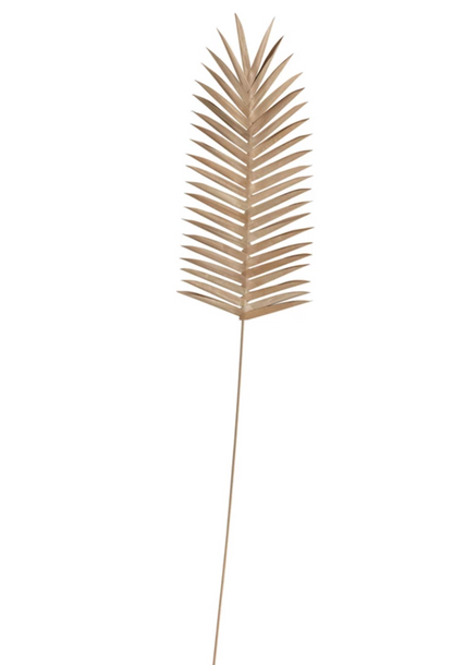 Fern Leaf Palm Pick
