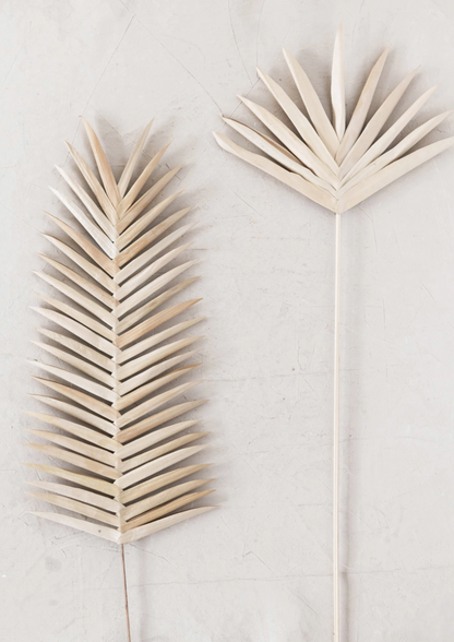 Fern Leaf Palm Pick