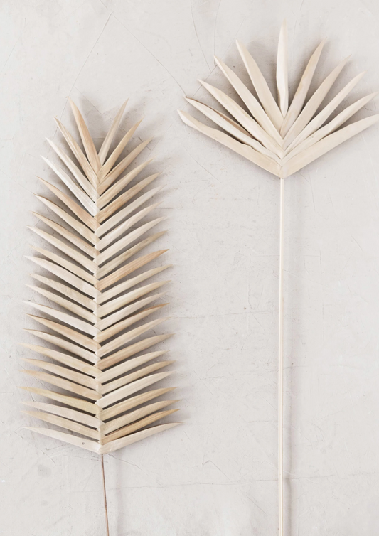 Fern Leaf Palm Pick
