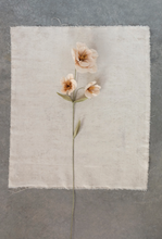 Load image into Gallery viewer, Paper Flower Stem Orange