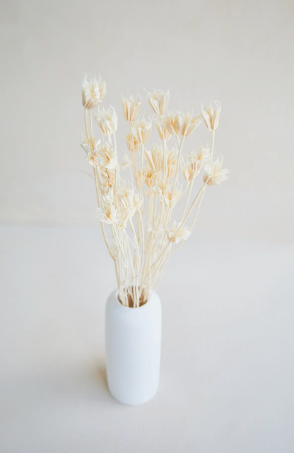 White Dried Nigellia Bunch