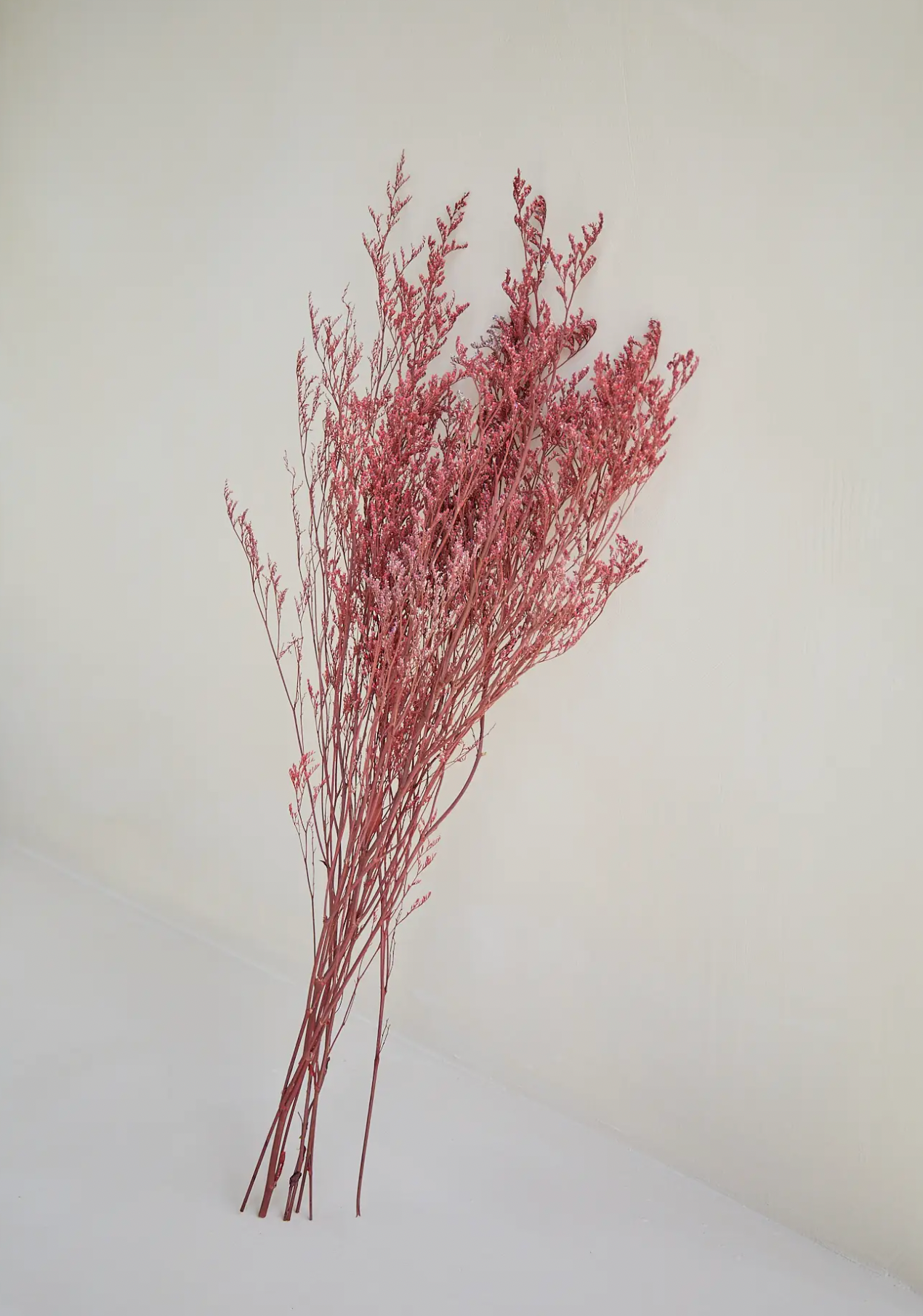 Limonium Red Branches Bunch